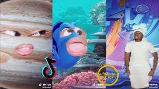 Ultimate dimpey6 TikTok Videos 2021Best Dimpey Tik Tok Compilation [upl. by Noirrad]