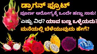 ಒಂದೇ ಹಣ್ಣಿನಲ್ಲಿ ಸಂಪೂರ್ಣ ಆರೋಗ್ಯ ಯಾವ ಬಣ್ಣದ ಹಣ್ಣು ಆರೋಗ್ಯಕ್ಕೆ ಒಳ್ಳೆಯದು ಬೆಳೆಯುವುದು ಹೇಗೆ Dragon Fruit [upl. by Tegdirb]