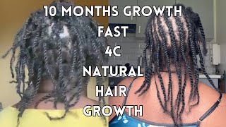 How Twists Grew My 4c Hair Fast In 10 Months  Natural Hair 2024  Thicker Longer 4c Hair Tips [upl. by Centonze]