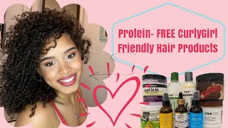 Protein FREE MOISTURIZING Hair Products  Prepoo Deep Conditioners Leavein Creams amp Butters [upl. by Ienttirb]