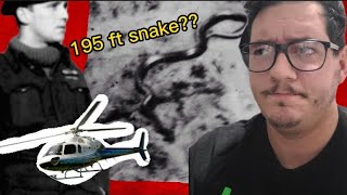 Was there really a 195ft snake in the Congo [upl. by Tlaw]