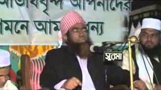 Maulana Jubaer Ahmed Ansari Bangla waz 2014 [upl. by Camilla]