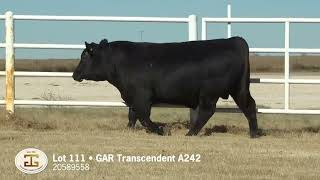 Lot 111 G A R Transcendent A242 [upl. by Mas]