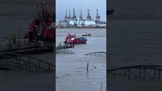 Hamburg Fischmarkt Überflutung regen Unwetter [upl. by Ennovihc]