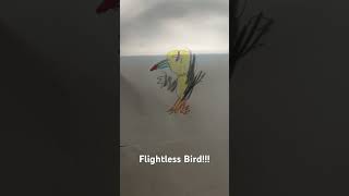 Flightless bird [upl. by Nawor]