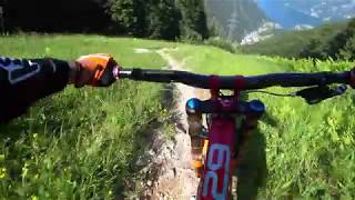 Downhill 50 grad Austria Ebensee Feuerkogel 2019 4k One of the steepest trail in Europe [upl. by Tolmach]