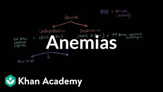 Microcytic normocytic and macrocytic anemias  NCLEXRN  Khan Academy [upl. by Lehpar]