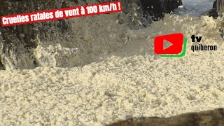 QUIBERON  🌬️ 🌊 🏄‍♂️ Rafales de vent à 100kmh  TV Quiberon 247 [upl. by Hairej]