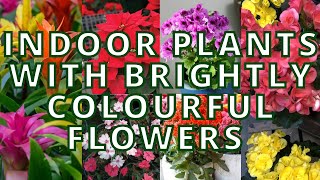 15 Best Indoor Plants that gives beautiful Flowers too  Indoor plants that bloom [upl. by Nugesulo]