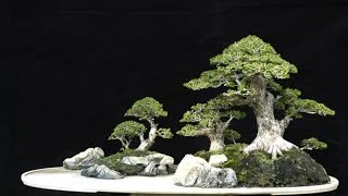 Penjing generally fall into one of three categories [upl. by Charita]