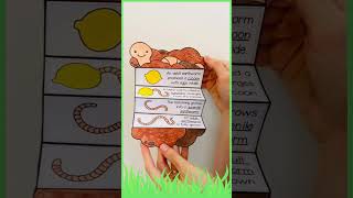 Earthworm life cycle foldable science craft activity for kids [upl. by Arni]