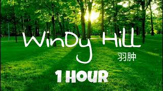 WINDY HILL  NHẠC ĐỌC SÁCH  LÀM VIỆC  THƯ GIẢN [upl. by Ainadi]