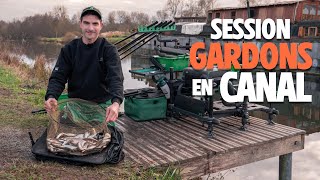 Pêche des GARDONS en canal avec Julien Turpin [upl. by Thorlie]