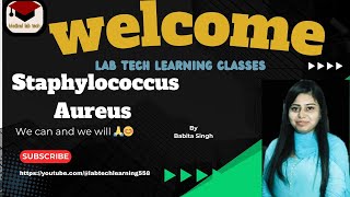 staphylococcus Aureus morphologyvirulence factor pathogenesisdiagnosisdetailsmltmicrobiology [upl. by Cletus]