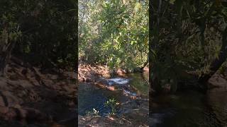 Exploring the Lichfield National Park Australia  Rockpools [upl. by Arika]