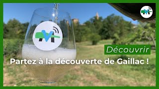 À la découverte du vignoble de Gaillac [upl. by Atnoled]