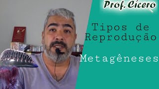 Metagênese  Tipos de Reprodução [upl. by Brocky]