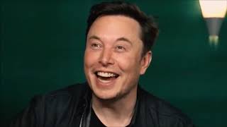 Elon Musk laughs at the dead deer meme for 1 hour [upl. by Madelena243]