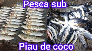 PESCA SUB NOTURNAno município de Piracuruca com o parceiro baby [upl. by Ahsauqal607]