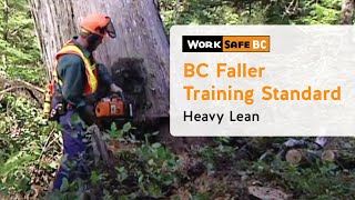 BC Faller Training Standard  Heavy Lean 12 of 17 [upl. by Ydnahs]