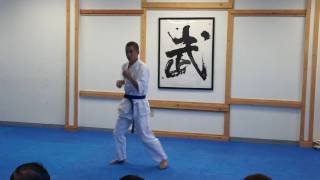 Yamaki Karate 2010 Winter Inhouse Exhibition Bassai Dai Kata [upl. by Uella]