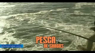 Pesca de Sargos em Suancescom quotAmancio GarciaquotEspanha 2016 [upl. by Maudie637]