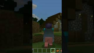 Kahan mar Gaye gaon wale comedy minecraft [upl. by Asil742]