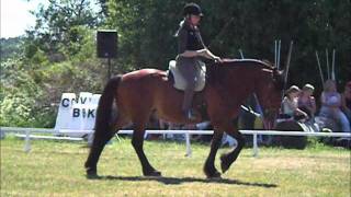 Carina Branderup part 1 Strömsholm 04062011 del 1wmv [upl. by Allison254]