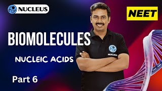 Nucleic acids II Biomolecules II Nucleus Neet academy [upl. by Gert]