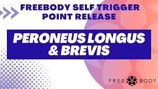 Peroneus Longus and Brevis Self trigger Point Release [upl. by Valdemar803]