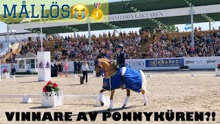 FALSTERBO HORSE SHOW 2019 [upl. by Aroled]