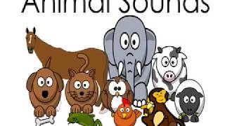 Animal Sounds Names for Kids Children Kindergarten Preschoolers Toddlers Animals Sound Effects [upl. by Emma481]