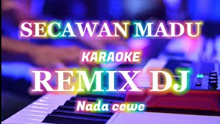 Secawan MaduKaraokeRemix DJ Nada cewe [upl. by Azitram]