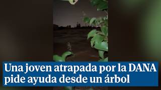 Una chica atrapada por la DANA pide ayuda agarrada a un árbol en Paiporta quotAquí no hay nadaquot [upl. by Arinaj]