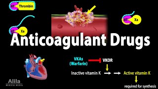 Pharmacology Anticoagulants Animation [upl. by Wandie]