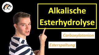 Alkalische EsterhydrolyseVerseifung  Chemie Tutorial [upl. by Lledraw]