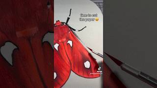 ❤️RED MOTH❤️ Drawing✏️ Prismacolor Pencils moth art draw prismacolor drawing [upl. by Robet]