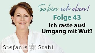 Stefanie Stahl 43  Ich raste aus Wie gehen wir mit Wut um  So bin ich eben [upl. by Aem215]