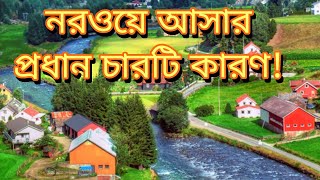 কেন নরওয়ে আসবেন  চারটি কারণ  StudyNorway  BdStudents  StudyEurope  FreeEducation [upl. by Jews]