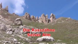 Rosszähne Seiser Alm [upl. by Boynton162]