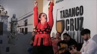 Jerez de la Ftra Cádiz FABIOLA BARBA baila Soleá por Bulerías en el Tabanco Cruz Vieja [upl. by Irollam]