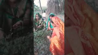 Rakhiya godiya Shahar ke [upl. by Saw367]