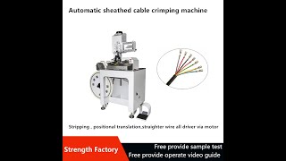 Multi Cores Cable crimping machine [upl. by Lorusso695]