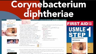 Corynebacterium diphtheriae in HindiUrdu by first aid for USMLE step 1 [upl. by Karen]