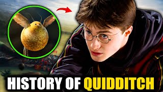 INSANE History of Quidditch 1050  2023  Harry Potter Explained [upl. by Navetse714]