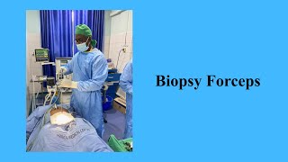 Biopsy Forceps [upl. by Kessia790]