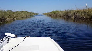 2016 MAKO PRO SKIFF 17 60hp Mercury 4 stroke [upl. by Teeniv598]