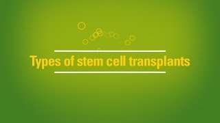 Types of stem cell transplants autologous vs allogeneic [upl. by Block811]