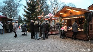 Weihnachtszauber auf Schloss Landau am 15 und 16 Dez 2018 in 4K von tubehorst1 [upl. by Osy]