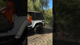 Jeeps Playing in Small Creek [upl. by Connel]